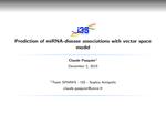 Prediction of miRNA-disease Associations with Vector Space Model