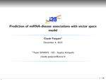 Prediction of miRNA-disease Associations with Vector Space Model