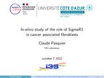 In-Silico Study of the Role of SigmaR1 in Cancer Associated Fibroblasts
