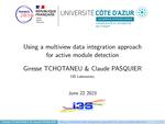Using a Multiview Data Integration Approach for Active Module Detection